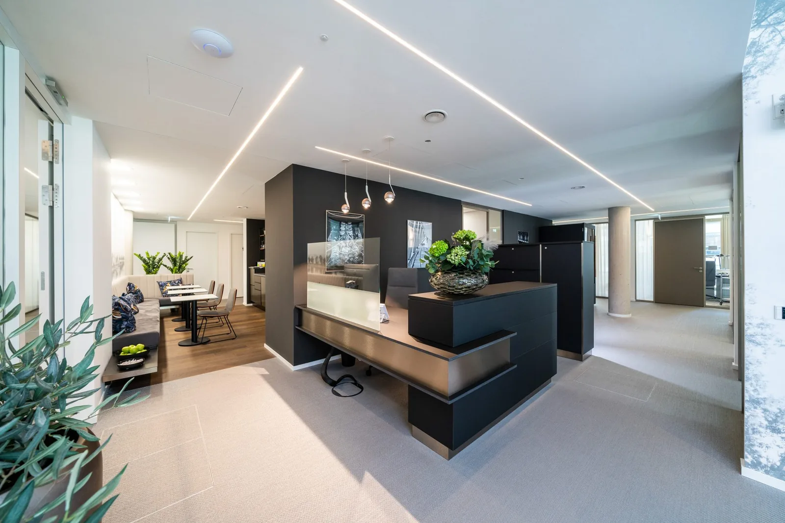 Reception desk and waiting area in the office
